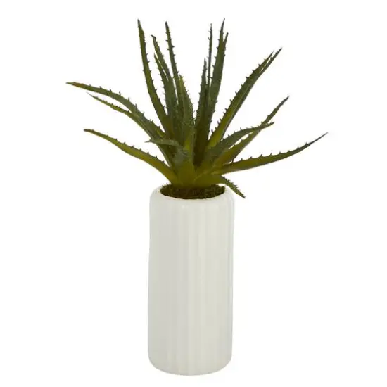 15" Aloe Plant in Decorative White Planter {1}