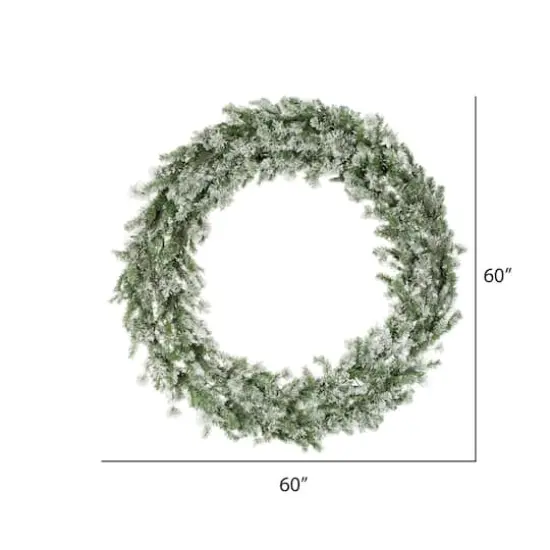 60" Pre-Lit Flocked Kiana Artificial Christmas Wreath, Warm White Dura-Lit&reg; LED Mini Lights {6}