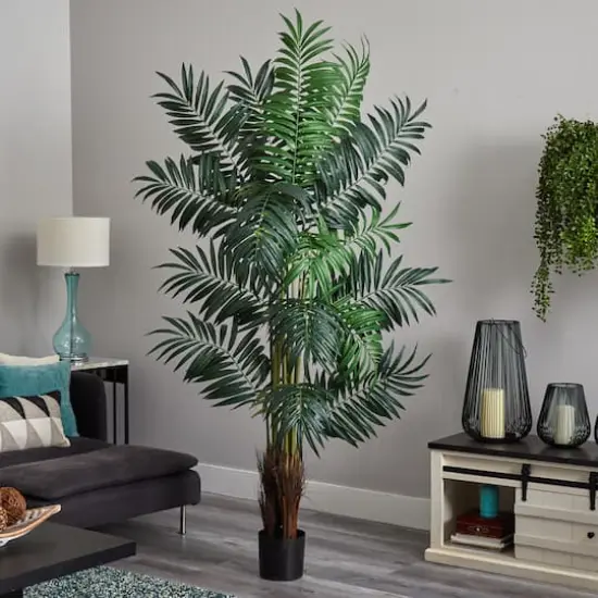 7.5ft. Bulb Areca Palm Tree {3}