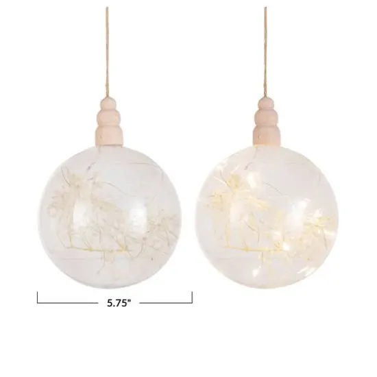 Hello Honey&reg; 5.75" Clear Botanical Glow LED Glass Ornament {4}