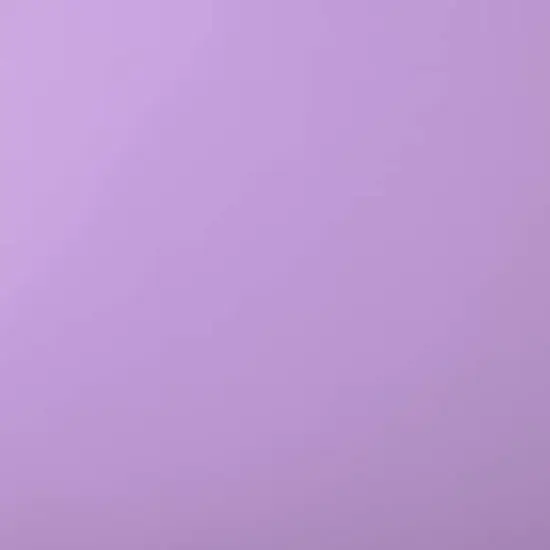 Cricut&reg; 12" x 48" Permanent Vinyl Light Purple {4}