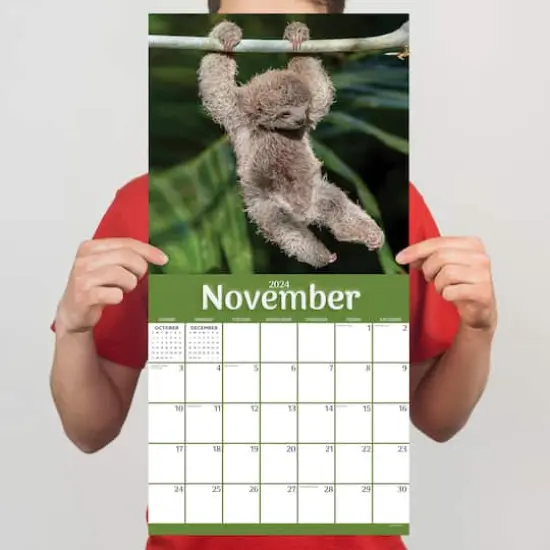 TF Publishing 2024 Sloths Wall Calendar {6}
