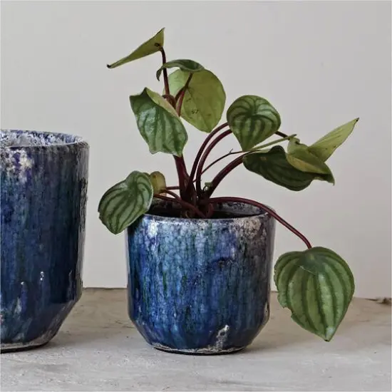 Hello Honey&reg; 5.25" Blue Crackle Glaze Decorative Terra Cotta Planter {4}