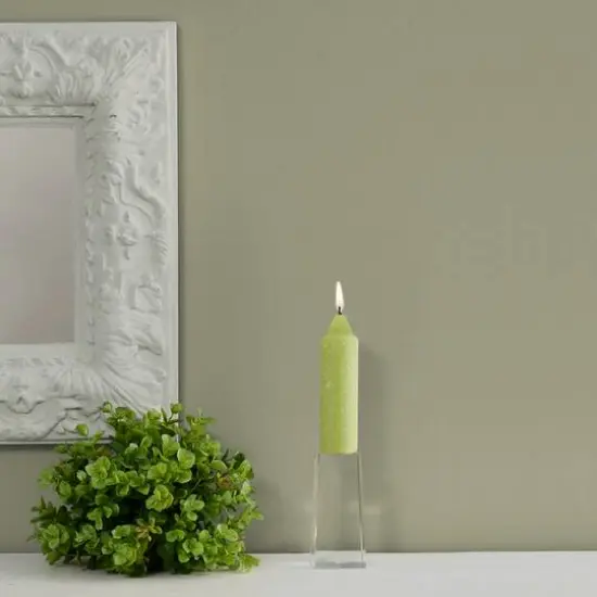 Root Candles 5" Unscented Timberline&trade; Collenette Taper Candles, 8ct. Willow {4}