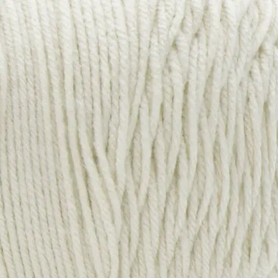 Caron&reg; One Pound&trade; Yarn Off White {3}