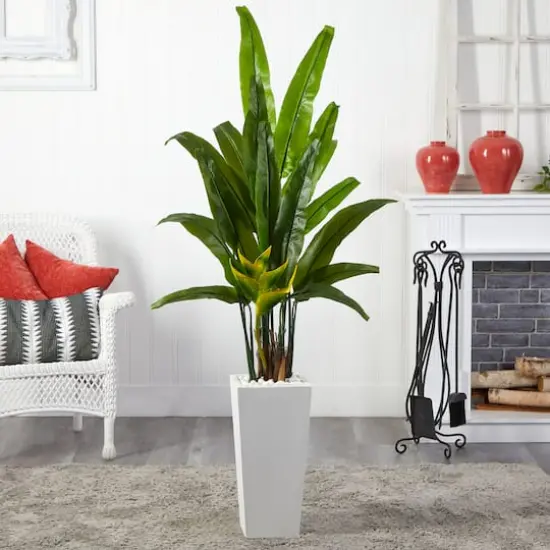 6ft. Potted Travelers Palm Tree in Decorative Planter {3}