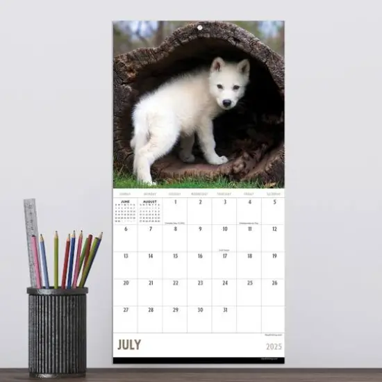 TF Publishing 2025 Wolves Mini Calendar {5}