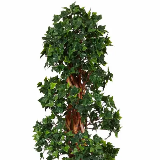 5.5ft. Potted English Ivy Spiral Topiary Tree {5}