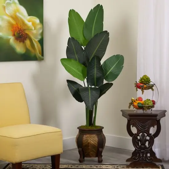 5.5ft. Travelers Palm Tree in Decorative Planter {4}