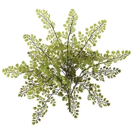 Maiden Hair Fern Spray, 12ct. {3}