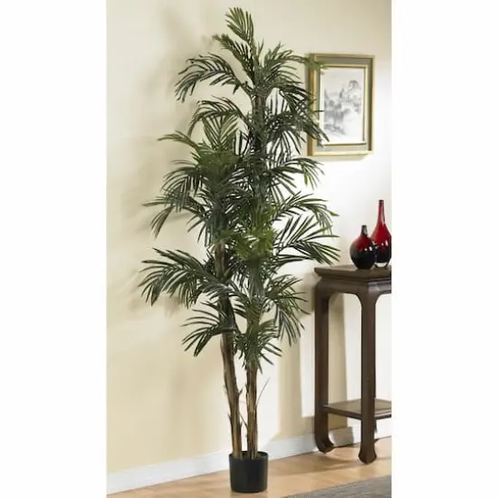 6ft. Potted Robellini Palm Tree {3}