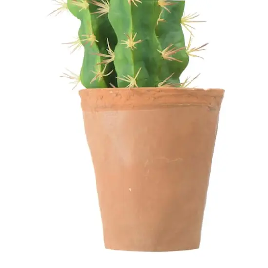 Hello Honey&reg; 18" Cereus Cactus in Terra Cotta Colored Pot {8}