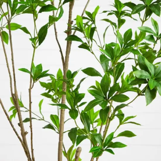 6ft. Artificial Minimalist Japanese Pieris Tree {5}