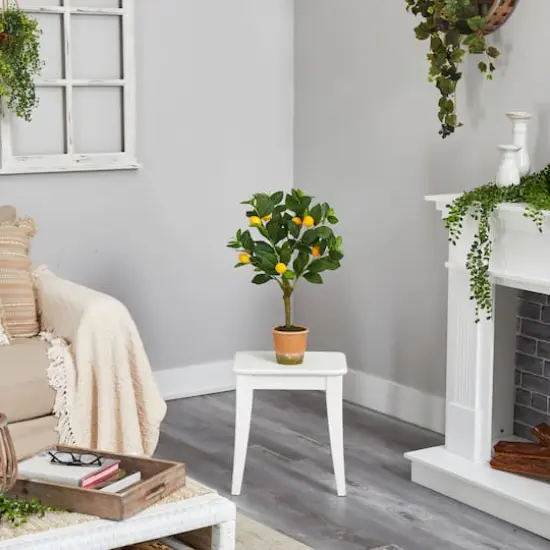 2ft. Lemon Tree in Brown Planter {5}