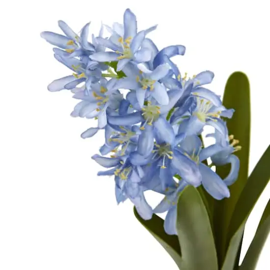 Blue Hyacinth Stem, 4ct. {3}