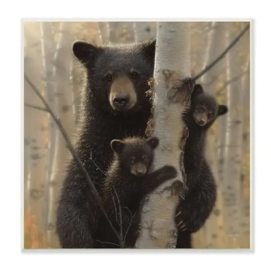 Stupell Industries Black Bear and Cubs Soft Birch Tree Forest,12" x 12" {1}