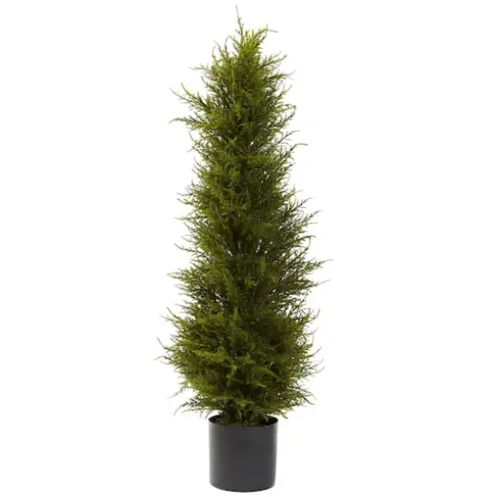 3.5ft. Potted Cedar Tree {1}