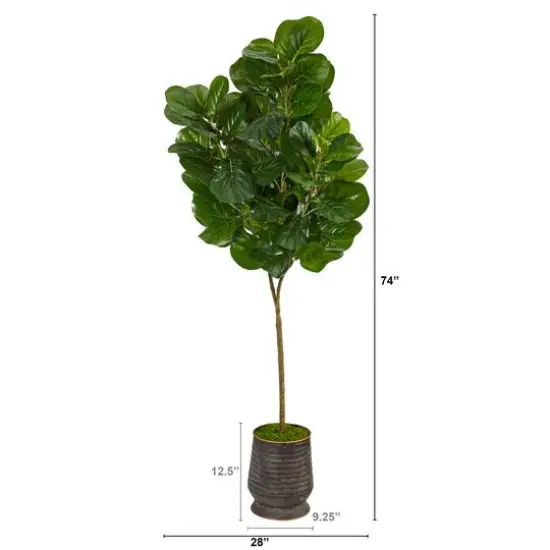6ft. Fiddle Leaf Fig Tree in Ribbed Metal Planter {3}