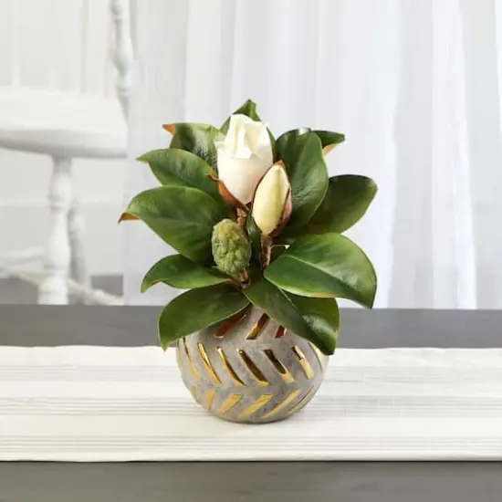 12in. Magnolia in Planter with Gold Trim {4}