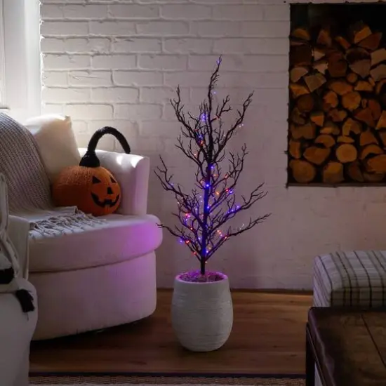 3ft. Pre-Lit Artificial Halloween Black Spooky Twig Tree with 100 Orange & Purple Copper Wire String LED Lights {8}