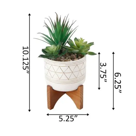 Flora Bunda® 5" Faux Succulents In Gold Paint Ceramic Footed Stand {3}