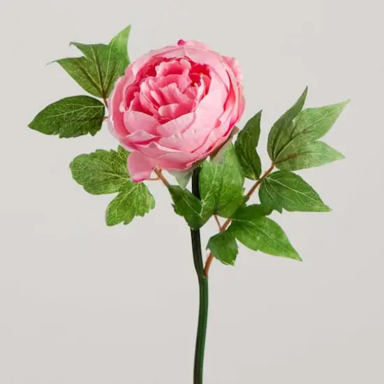 20" Pink Peony Flower Stems, 3ct. {10}