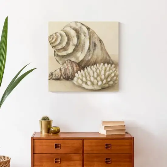 Conch And Sea Shells 20" x 20" Canvas Wall Art {5}