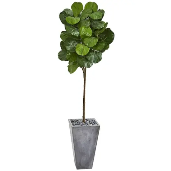 6.2ft. Fiddle Leaf Artificial Tree in Cement Planter {1}