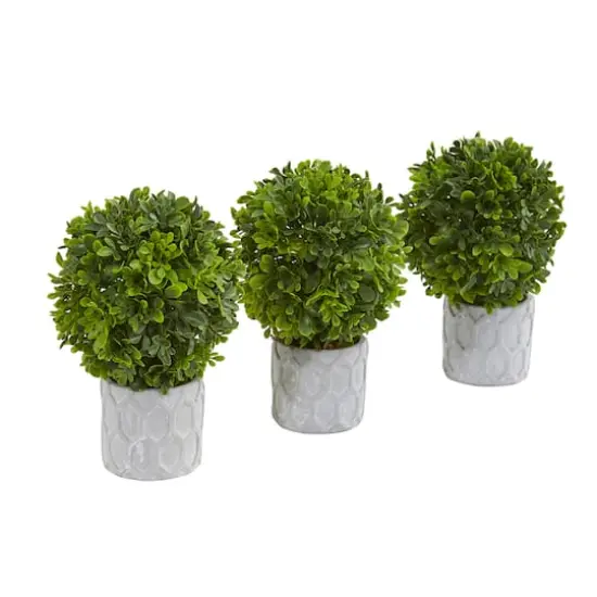 9" Potted Boxwood Mini Topiary, 3ct. {1}
