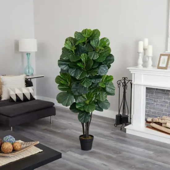 5ft. Potted Fiddle Leaf Fig Tree {3}