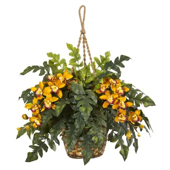 2.5ft. Yellow Boat Orchid & Fern Arrangement in Hanging Basket {1}