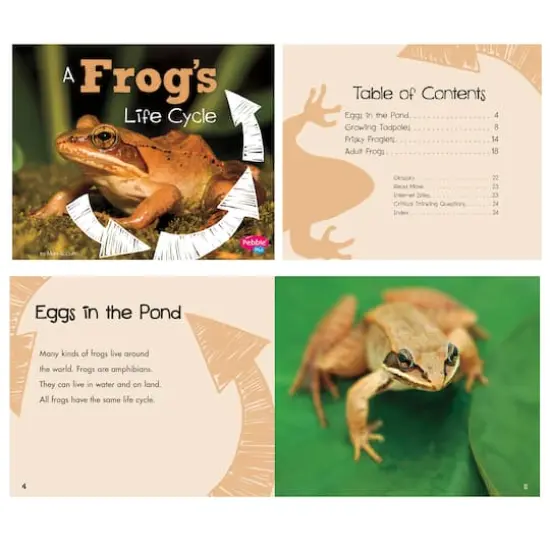 Pebble Plus Explore Life Cycles Set {5}