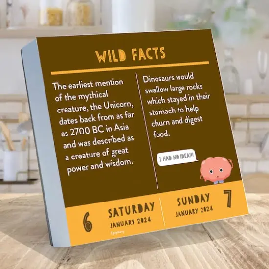 TF Publishing 2024 Smarty Pants Daily Desktop Calendar {3}