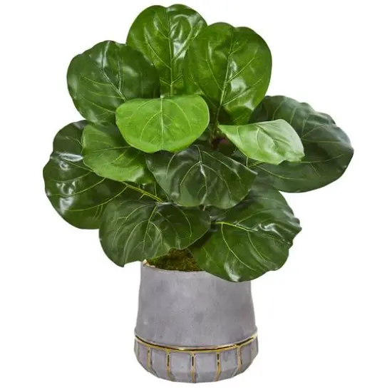 23'' Fiddle Leaf Plant in Stoneware Planter {1}