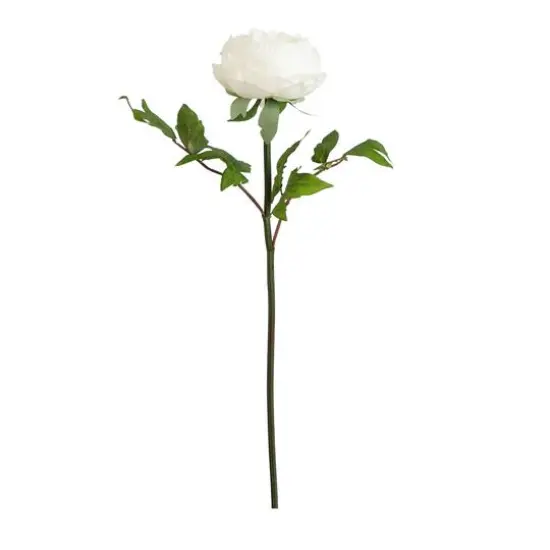 20" White Peony Flower Stems, 3ct. {1}