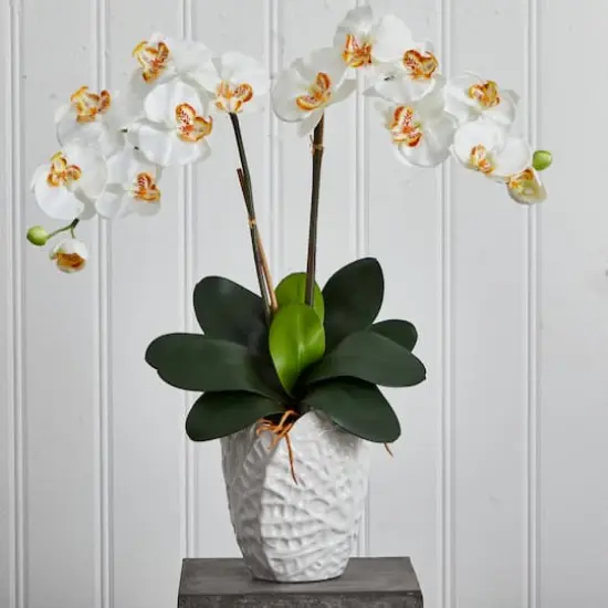 23" White Double Stem Orchid Arrangement in White Textured Vase {4}