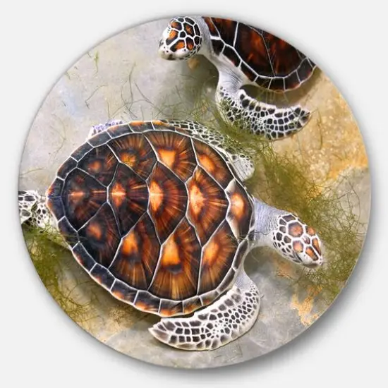 Designart - Sea Turtles in Nursery' Animal Circle Metal Wall Art {2}