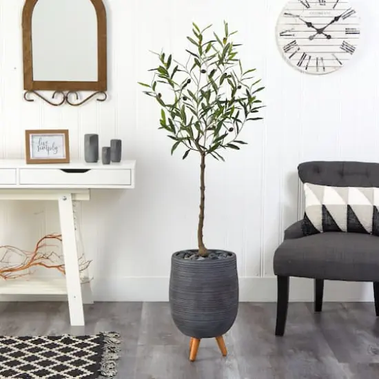 4.5ft. Olive Tree in Gray Planter with Stand {4}