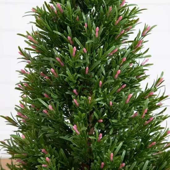 3ft. Potted UV Resistant Rosemary Cone Topiary Tree {4}