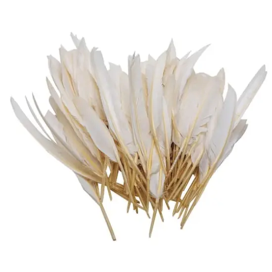 S&S&reg; Worldwide White Long Quill Feathers, 144ct. {1}