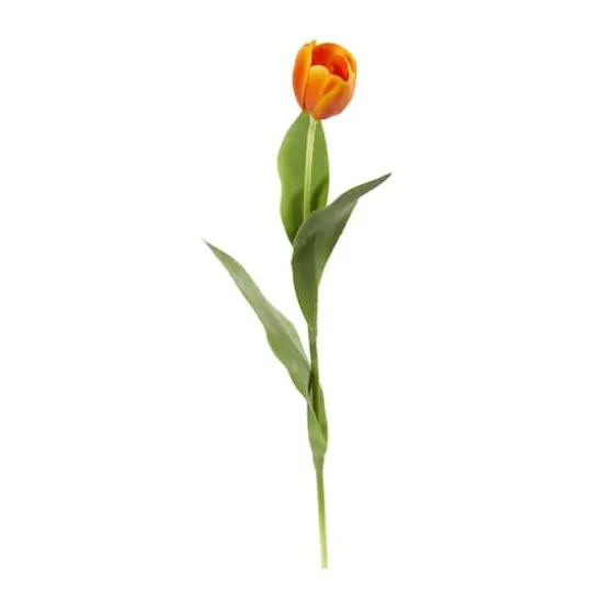 Orange Tulip Stem, 8ct. {1}