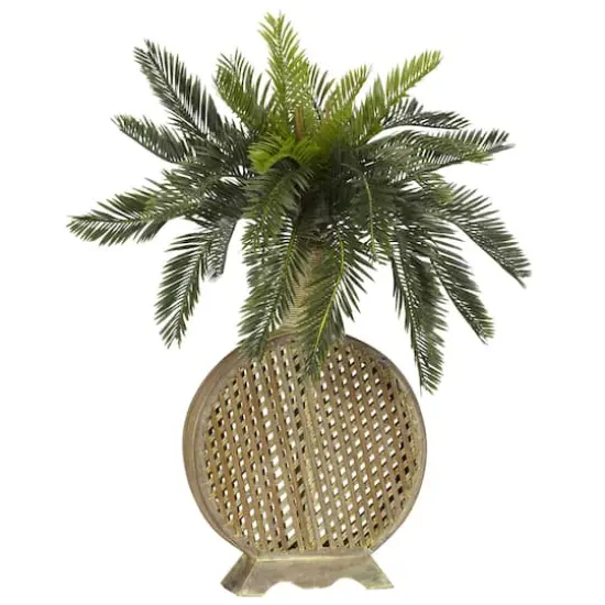 2ft. Cycas Plant with Decorative Vase {1}