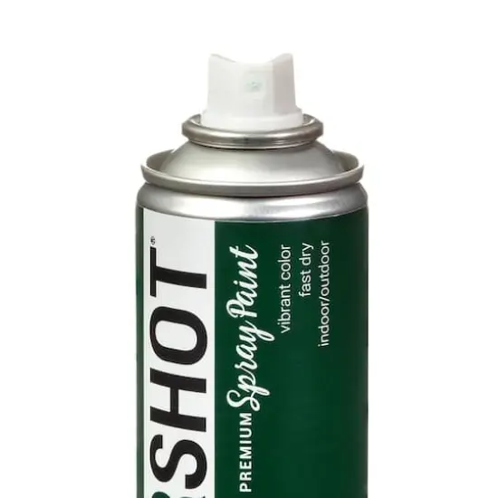 COLORSHOT&reg; Premium Satin Spray Paint Kale {6}