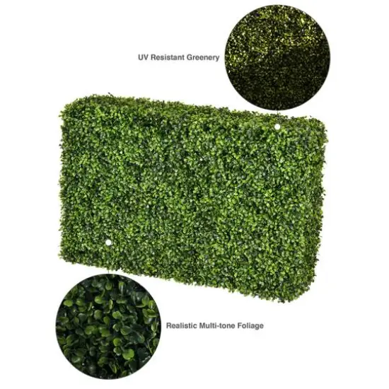 2ft. Boxwood Hedge {9}