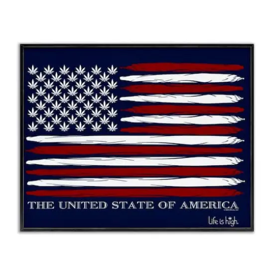 Stupell Industries Herb America Flag Framed Giclee Art Black {1}