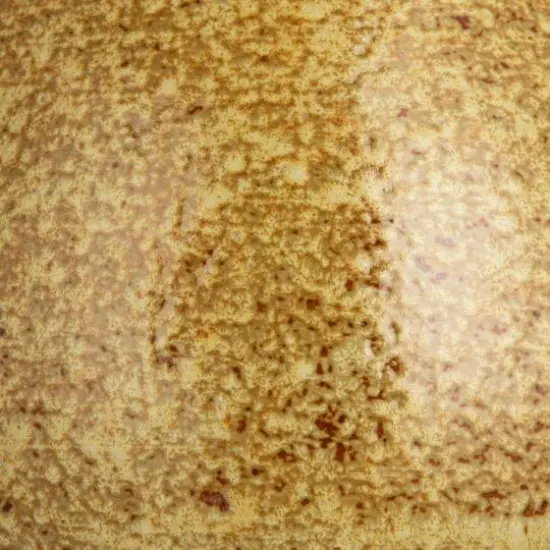 Hello Honey&reg; 5qt. Brown Round Stoneware Beverage Dispenser with Lid {8}