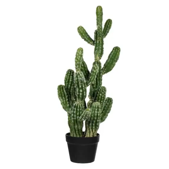 31" Artificial Green Potted Cactus {1}