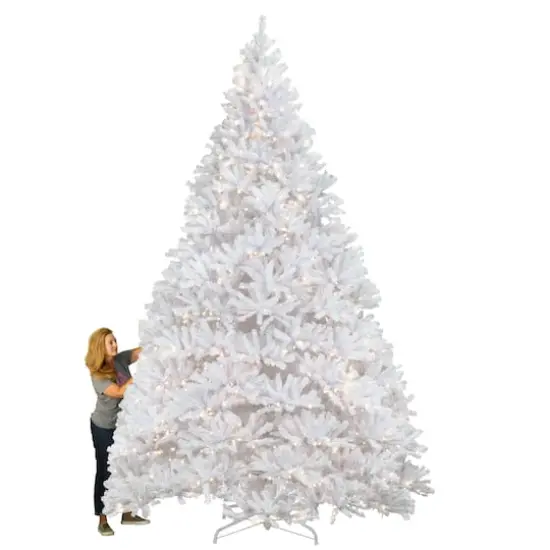 12ft. Pre-Lit Kingswood White Fir Artificial Christmas Tree {3}