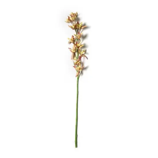 Rust Red Boat Orchid Stem by Ashland&reg; {1}