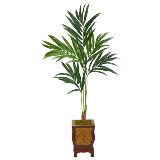 4.5ft. Kentia Palm Tree in Decorative Planter {1}